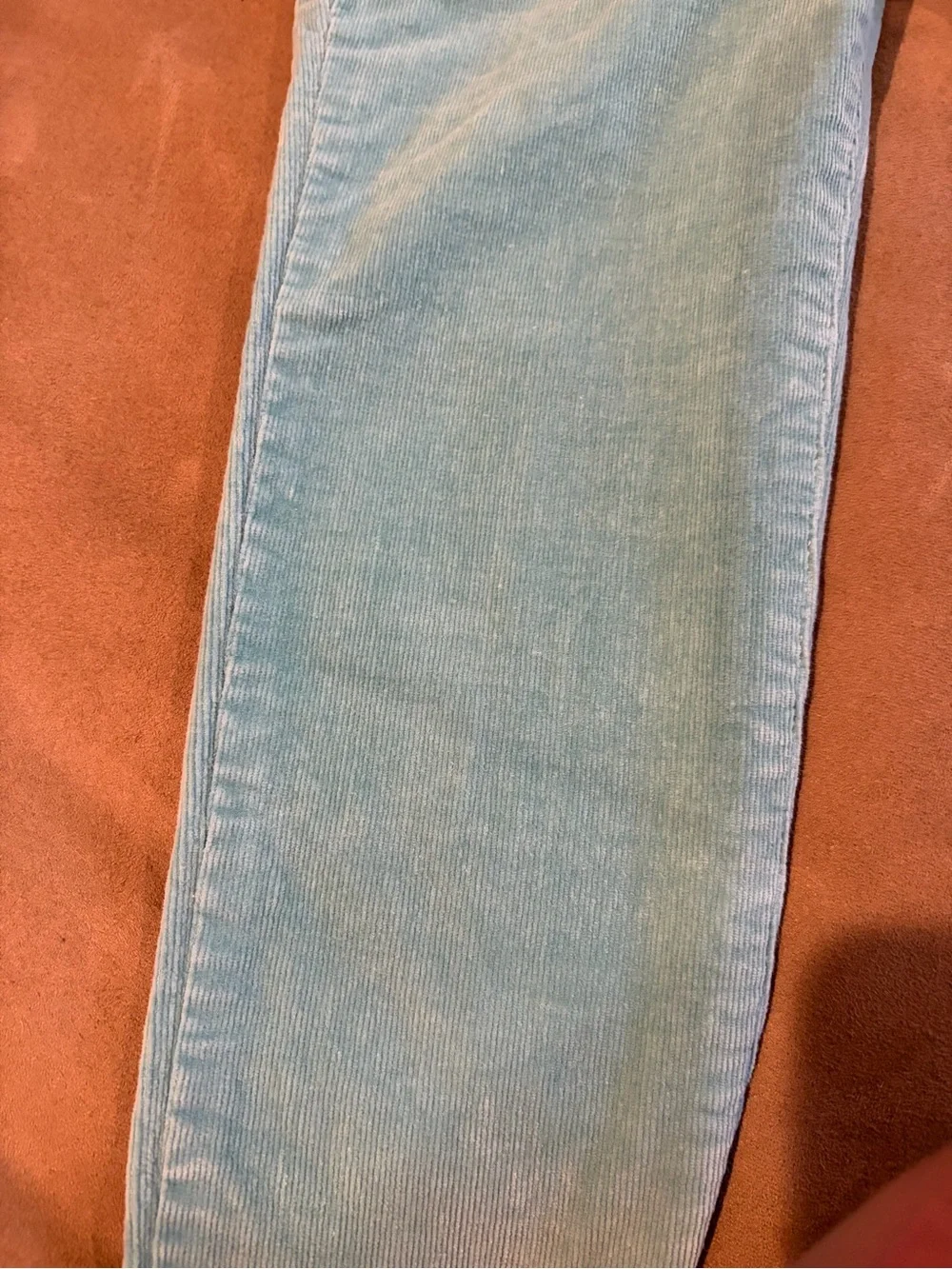 GAP Kids Robins Egg Blue Corduroy Pants